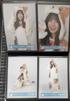 小坂菜緒　生写真 4種 コンプ 日向坂46 どうぶつ着ぐるみ