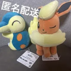 ど*す様 ポケモン　ほぺぴたぬいぐるみ　ヒノアラシ　ブースター