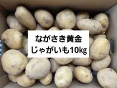 掘り立て発送‼️徳島産無農薬いんかのめざめ新じゃがいも MLサイズ 5