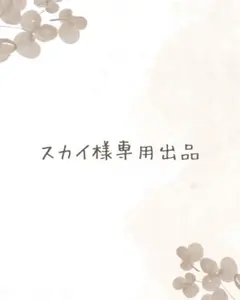 ※スカイ様専用出品 ホイップデコオーダー
