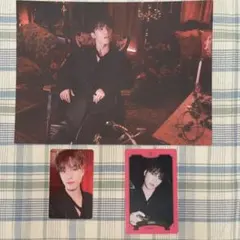 セブチ シーグリ2023 ディノ