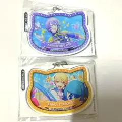 天馬司 神代類 アクリルキーホルダー ナンジャタウン B賞 ワンダショ プロセカ