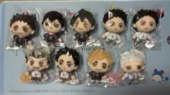 ハイキュー!! セガラッキーくじ B賞 ぬいぐるみ マスコット