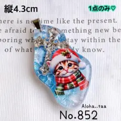 同梱値引100円❤️No.852 レジン ペンダントトップ 猫 ネコ ねこ ♡