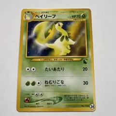 ベイリーフ イントロパック★neo チコリータマーク入