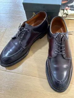 美品】Alden オールデン BROGUE別注 NSTコードバン D0612 - メルカリ