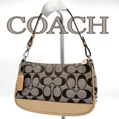 COACH シグネチャー デミポーチ アクセサリーポーチ　6094 コーチ