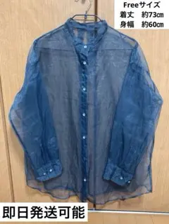 JEANASiS ジーナシス　シアーシャツ 長袖 ブルーのサムネイル