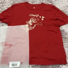 Item thumbnail for item 5c975261-2366-40f7-8210-4ac1289341cc