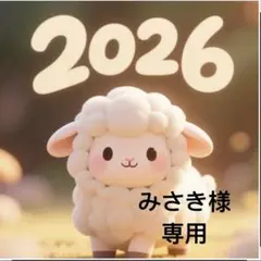 みさき様専用お取り置き中