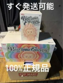 【正規品・未開封】Labubu Big into Energy 1箱