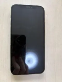 Apple iPhone 12 Pro パシフィックブルー 本体のサムネイル