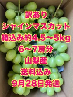 訳ありシャインマスカット 山梨産 6〜7房分 箱込み約4.5〜5キロ 送料
