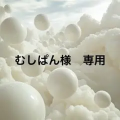 むしぱん様 リクエスト 2点 まとめ　No.30 No.106