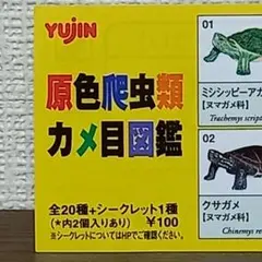 訳アリ 原色昆虫類甲虫図鑑 YUJIN ユージン 株主優待品 希少品 - メルカリ