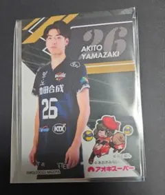 ウルフドッグス名古屋 アオキスーパー オリジナルトレーディングカード 山崎彰都