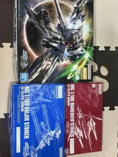ふ*ん様 MG 1/100 エクリプスガンダム＋ストライカーパック2種セット　ガ ふ*ん様 MG 1/100 エクリプスガンダム＋ストライカーパック2種セット