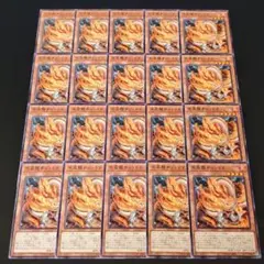天盃龍