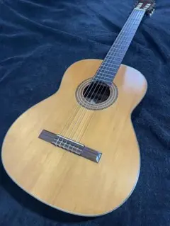 2025年最新】takamine 12弦の人気アイテム - メルカリ