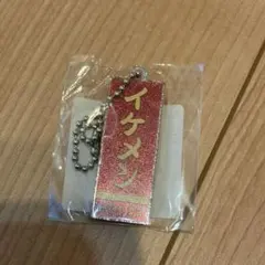 ジャイアンツ　岡本和真選手　オカモン　アクリルキーホルダー　誕生祭　2025