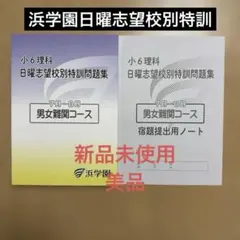 浜学園　国語　6年　テキスト　復習テスト　日曜錬成　Vクラス 浜学園 国語 6年 テキスト 復習テスト 日曜錬成 Vクラス 浜学園