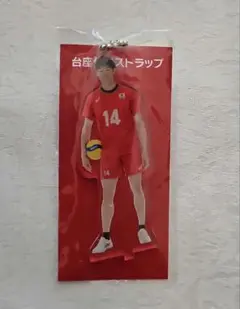 男子バレーボール 日本代表 アクスタ 石川祐希 高橋藍  アクリルスタンド 男子バレーボール 日本代表 アクスタ 石川祐希 高橋藍 アクリル