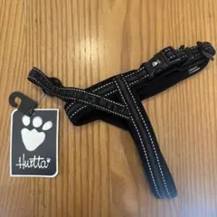 Item thumbnail for item b6142606-63d1-44a0-8c9b-4da3ef26e0b7