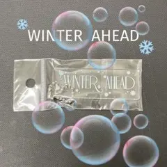 【Taehyungテテ】WINTER AHEAD アクリルキーリング