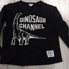 120 男の子　DINOSAUR CHANNEL 長袖カットソー