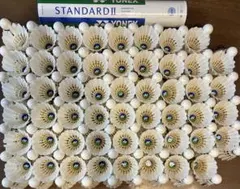 YONEX standard II 120球