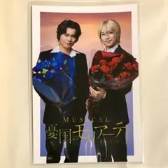 憂国のモリアーティ　モリミュ　ジャンフェス　カード