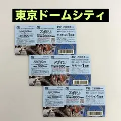 東京ドームシティ／各種チケット 3枚 2026年6月30日（火）までのサムネイル