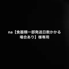 na【食器類一部発送日数かかる場合あり】様専用