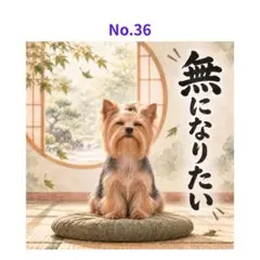 【No.36】ステッカー ヨークシャーテリア 無になりたい 犬 3枚500円