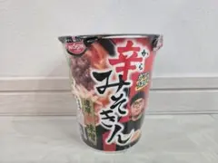 2026年最新】みそきん 未開封の人気アイテム - メルカリ