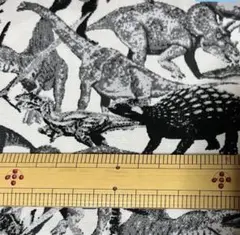 オックス生地 恐竜 2m