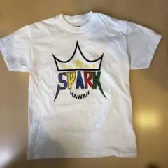 2026年最新】嵐 ハワイ tシャツの人気アイテム - メルカリ