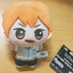 ハイキュー!! ちびぐるみ 日向翔陽