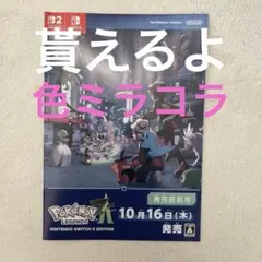 色違い ミライドン コライドン パンフレット　新品