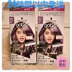 【人気商品】 got2b ボンディング・メタリックス M13 シルバーアッシュのサムネイル