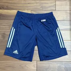 2025年最新】東海大学ラグビーの人気アイテム - メルカリ