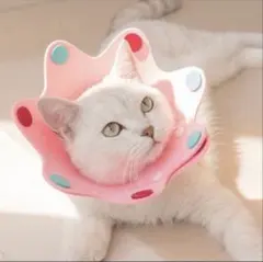 Item thumbnail for item 74cef797-4b42-4e65-a29e-56aaec91d634