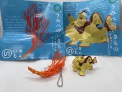 うみべのいきもの2 ネイチャーテクニカラー　クマドリカエルアンコウ&イソバナ