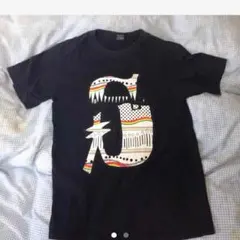 ステューシー Tシャツ 送料込み