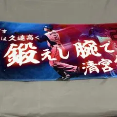 日本ハムファイターズ 選手応援歌グッズ フェイスタオル 清宮幸太郎