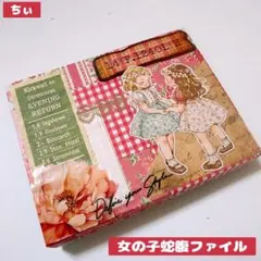 女の子蛇腹ファイル ミニミニ コラージュファイル 紙もの 素材紙 フレークシール