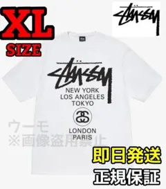 ステューシー XLサイズ STUSSY ワールドツアー Tシャツ