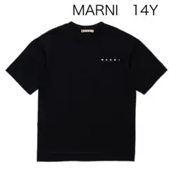 人気 新品未使用 MARNI マルニ ロゴ Tシャツ 14Y M~Lブラック - メルカリ