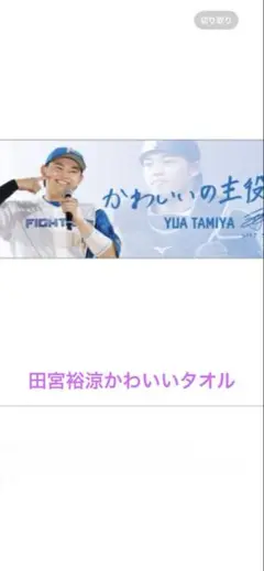 日本ハムファイターズ⭐️かわいいの主役田宮裕涼タオル⭐️