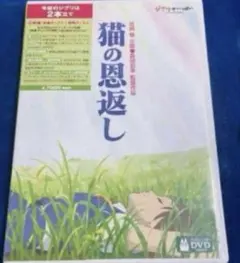 希少】猫の恩返し 公開記念 スタジオジブリ劇場予告編集DVD - メルカリ